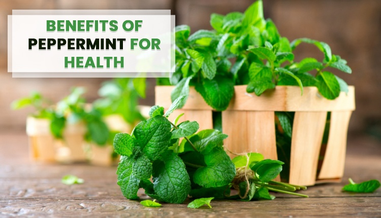 Benefits of Peppermint for Health